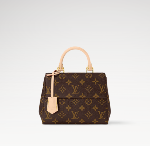 1759361185611 LOUIS VUITTON Cluny Mini M46055 Monogram