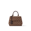 LOUIS VUITTON Cluny Mini N00097 Damier Ebene