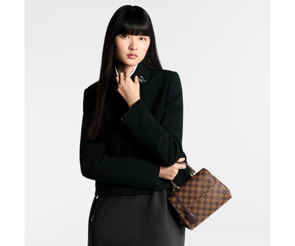 LOUIS VUITTON Cluny Mini N00097 Damier Ebene