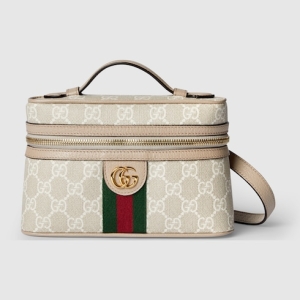 Ophdia small vanity bag