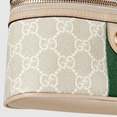 Ophdia small vanity bag